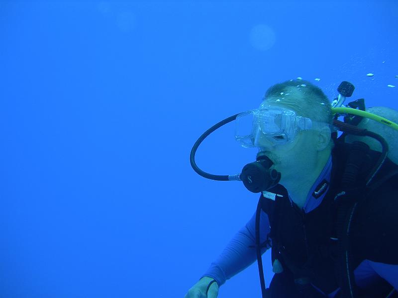 MANGROVE 07  2008 267.jpg